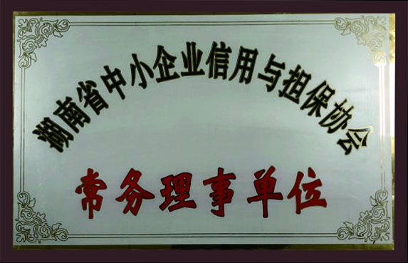 湖南省中小企業(yè)信用與擔(dān)保協(xié)會(huì)常務(wù)理事單位